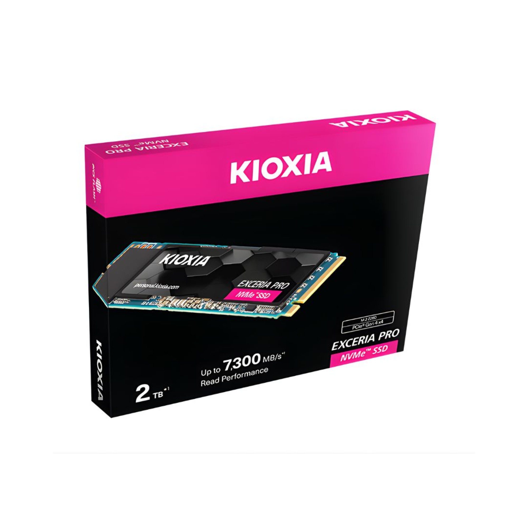 Kioxia SSD Internal Kioxia Pro M.2 NVMe 1TB Gen4 7300MB/s