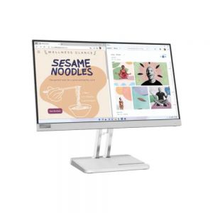 Lenovo Monitor L22e-40