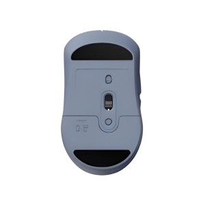 Rapoo M308 Mouse Wireless Dual Mode [Wireless+BT] Blue