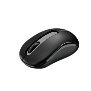 RAPOO M10 Plus Mouse Wireless Black