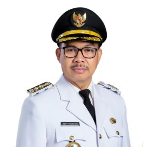Dr. (H.C.) dr. H. Hasto Wardoyo, Sp.OG(K)